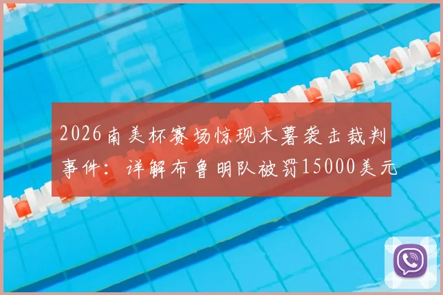 2026南美杯赛场惊现木薯袭击裁判事件:详解布鲁明队被罚15000美元全过程、南美足联处罚依据及球场安全规定